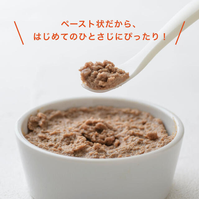 はじめての離乳食 お肉チャレンジセット/10パウチ | カインデスト/the