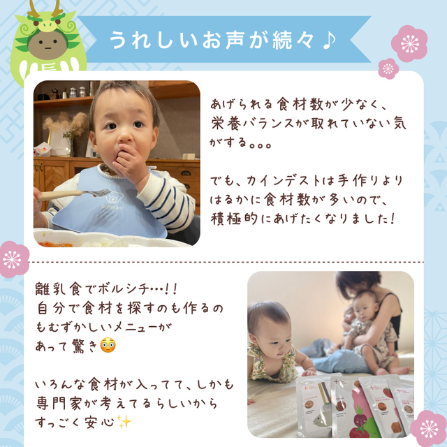 the kindest  ぱくぱく期　20パウチ 定期便】1歳3ヶ月目(ぱくぱく期)/ 20パウチ | カインデスト/the