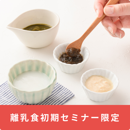 カインデスト　ベビーフード20パウチセット 定期便】離乳食中期セミナー限定セット/ 20パウチ