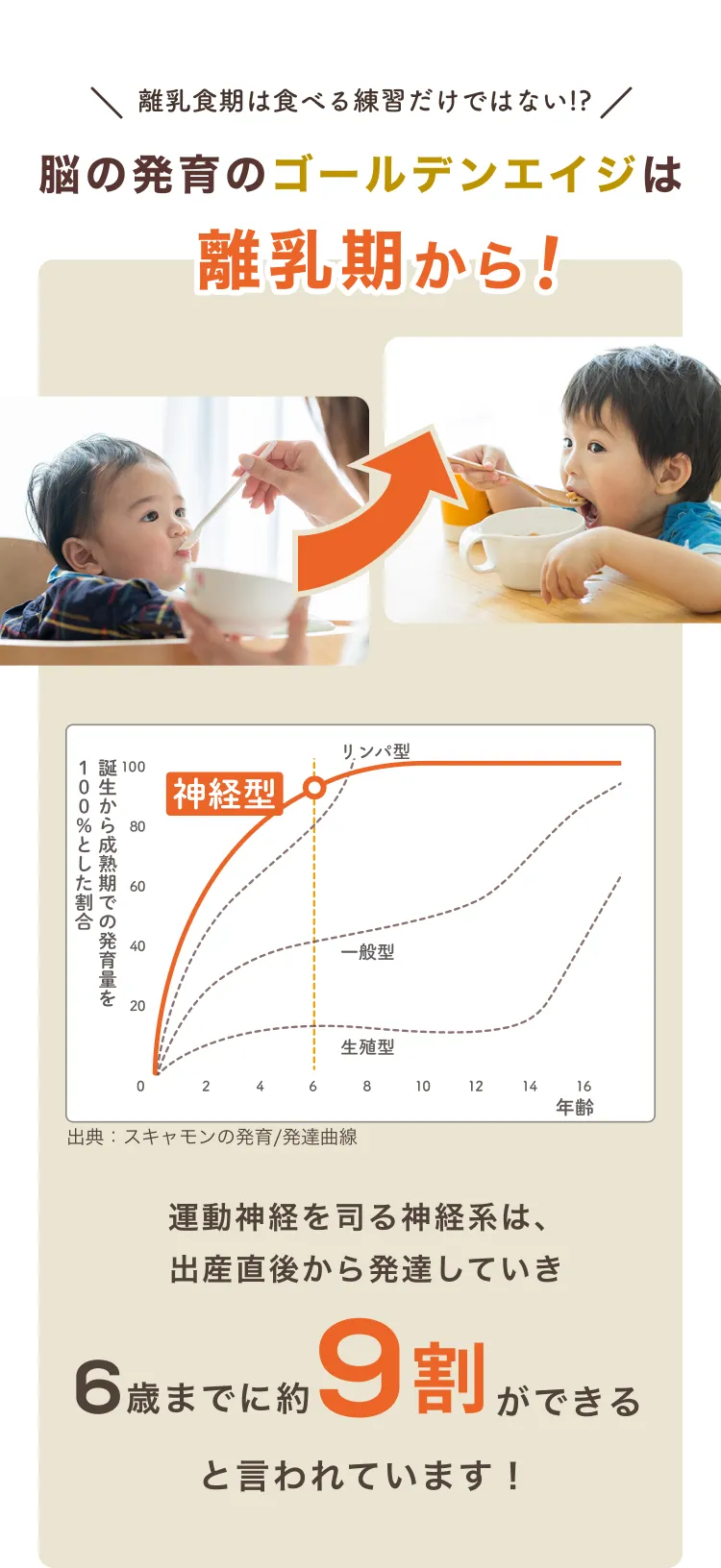 脳の発育のゴールデンエイジは離乳食から！