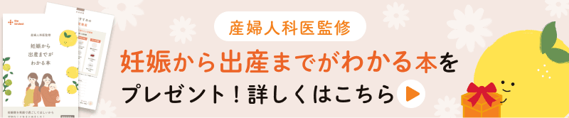 妊娠から出産までがわかる本をプレゼント