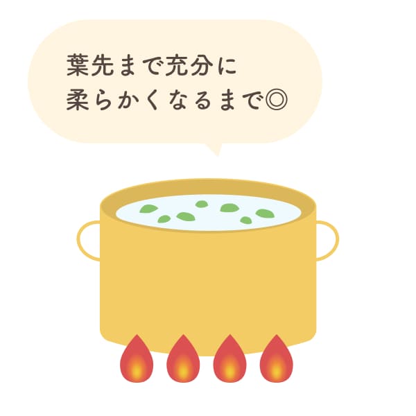 ほうれんそうを使用した離乳食の進め方 時期 量 主な栄養素やおすすめレシピも紹介 The Kindest Magazine