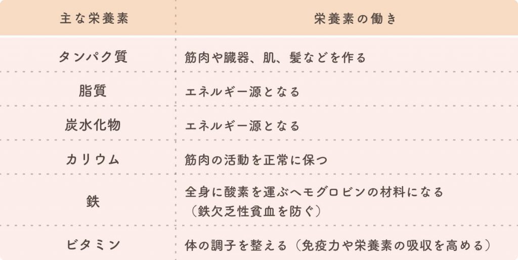 豆腐を使用した離乳食の進め方 時期 量 主な栄養素やおすすめレシピも紹介 The Kindest Magazine