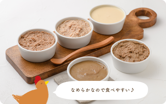 はじめての離乳食 お肉チャレンジセット/10パウチ | カインデスト/the 